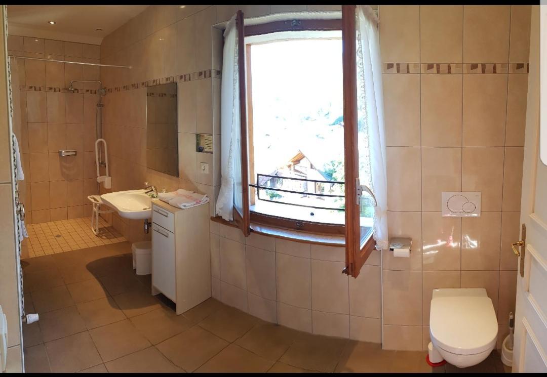 Hotel Plein Soleil Vacheresse エクステリア 写真